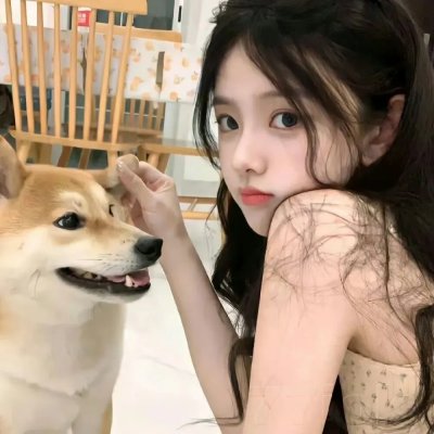 我不是精英